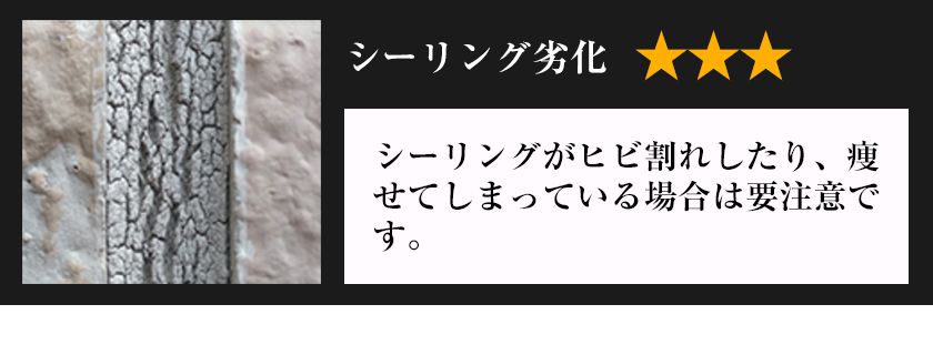 �V�[�����O��